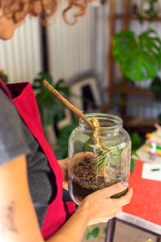 woman holding a glass-vase terrarium
