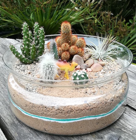 A glass-vase terrariu filled with sand and small cactuses