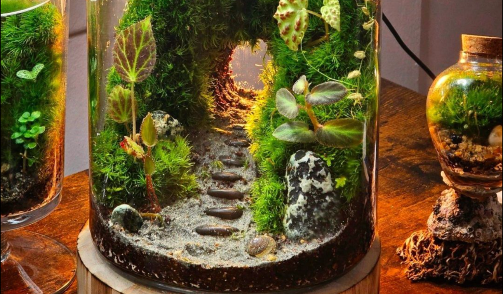 a colorful terrarium in a glass vase with a miniature path mae of pebbles