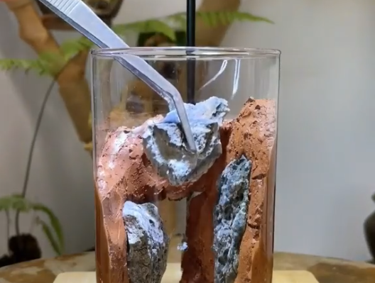 glass-vase terrarium with a earth and stone background being build