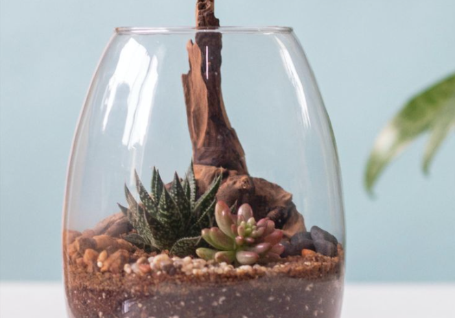 glass-vase terrarium with earth, pebbles and a centered woodstick