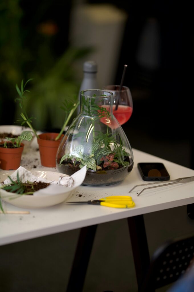 glass-vase terrarium, tools