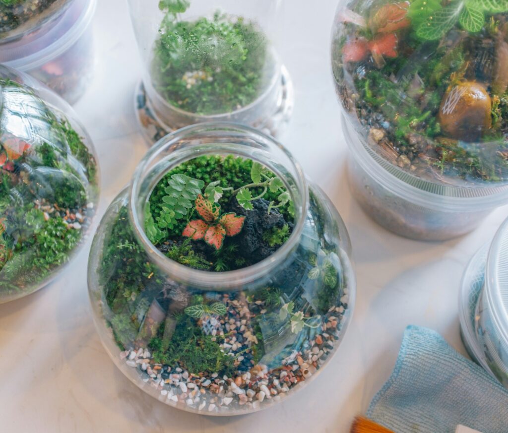 glass-vase terrariums on white table