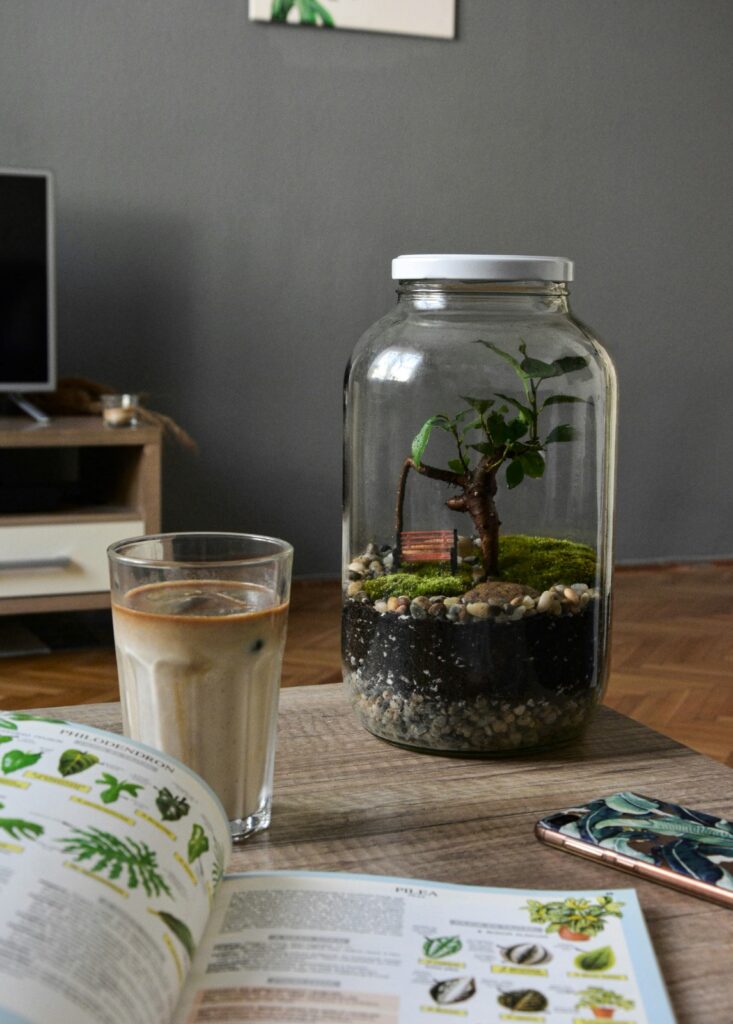 glass-vase closed terrarium, a glass and a book 