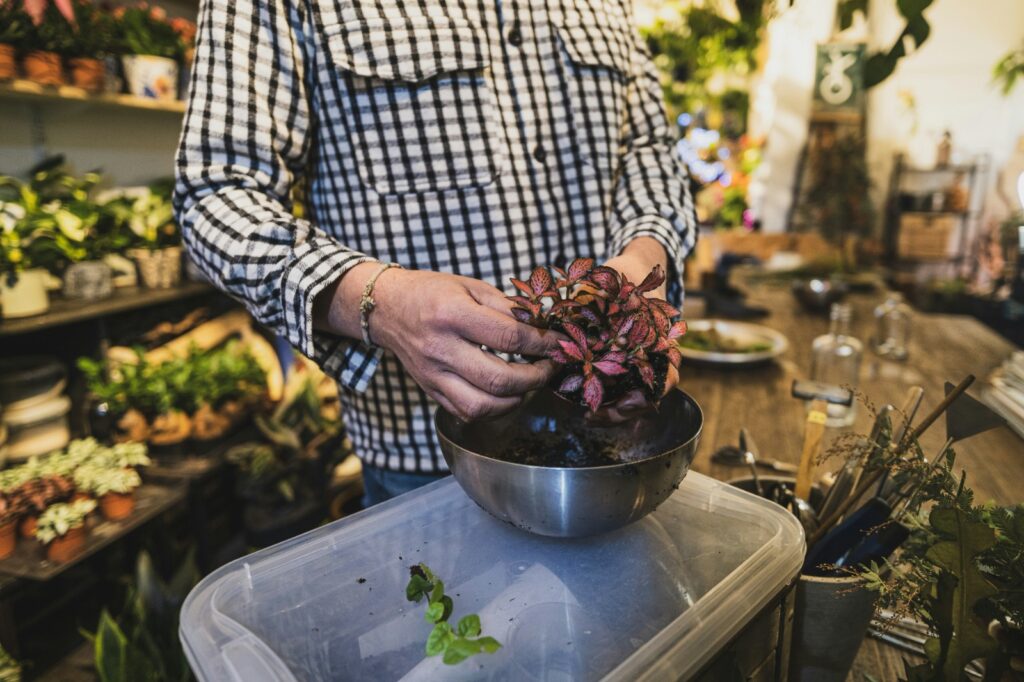 man holding a terrarium vase