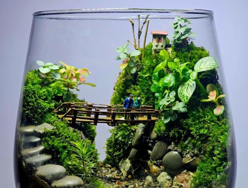 glss-vase terrarium with a moss background, pebbles, earth, and a variety of plants
