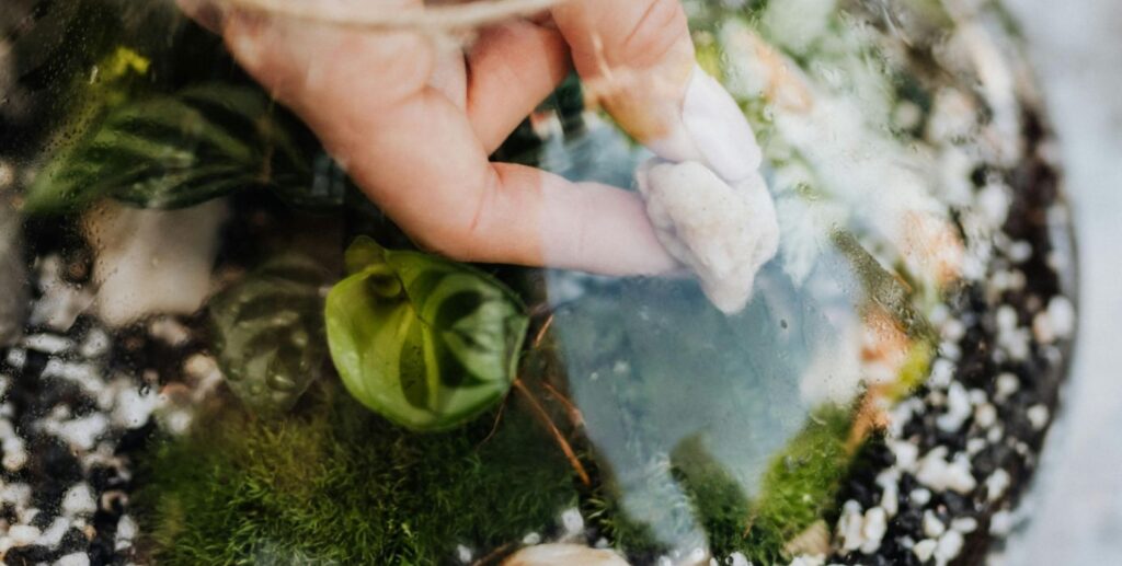 hand close-up, terrarium in a glass-vase.
