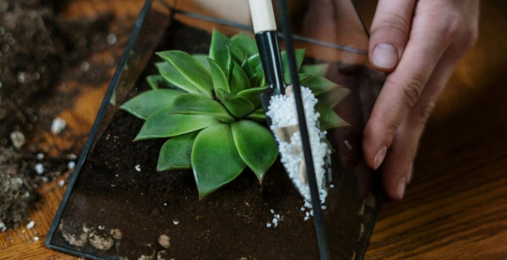 hand with a shovel, mixing the earth inside a glass-vase terrarium