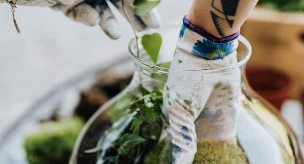 gloved hands caring for a glass-vase terrarium