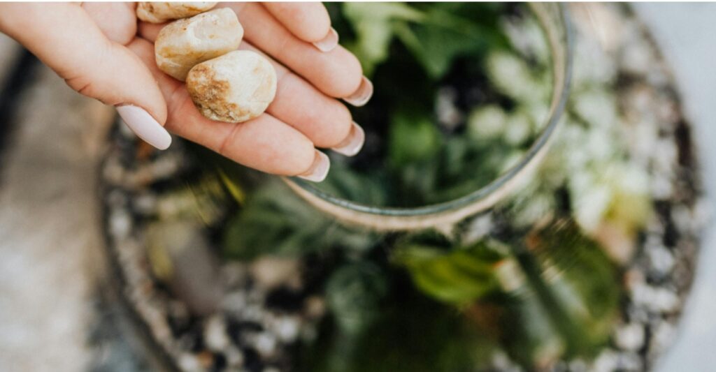 hand holding pebbles, and a glass-vase terrarium in the background