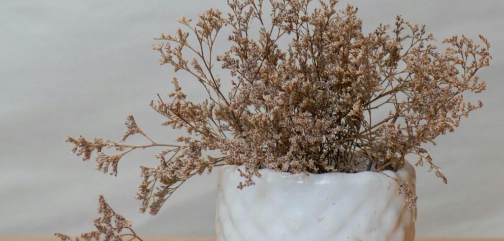 a dry plant in a white vase