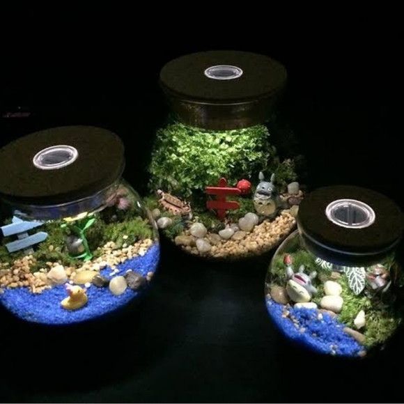 three glass-vase terrariums themed with led lights