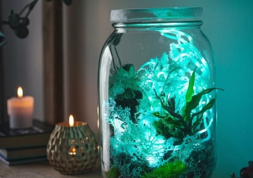 glow in the dark glass-vase terrarium with blue led 
