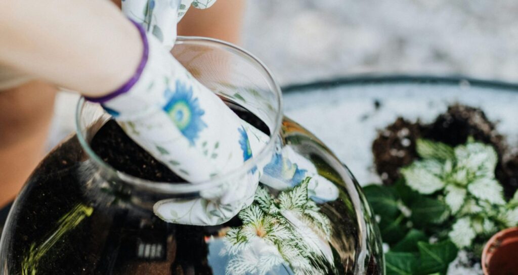 Gloved hands, glass-vase terrarium and earth