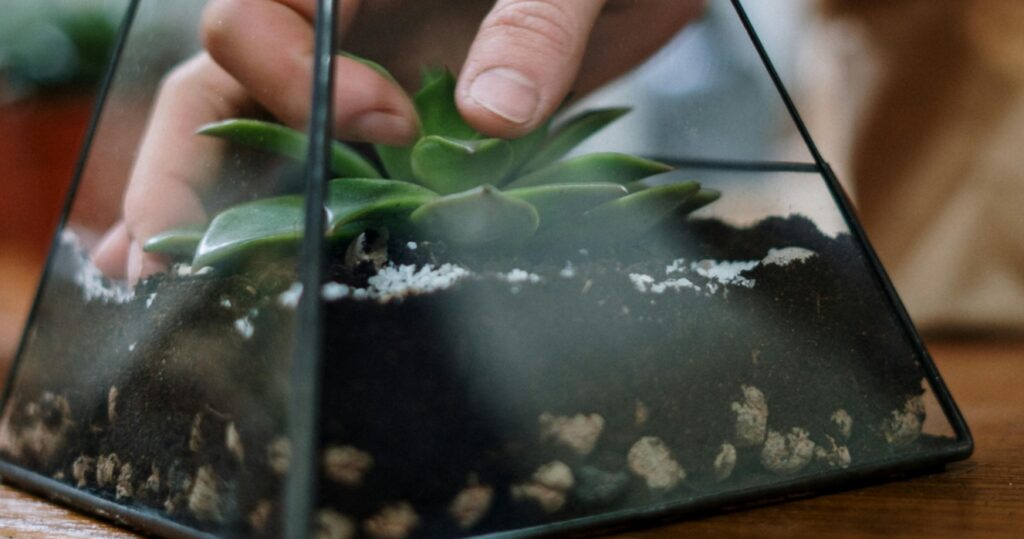 a geometric terrarium being styled by hands, over a wooden able