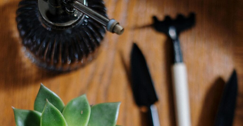 glass water can and garden tools on a wooden counter