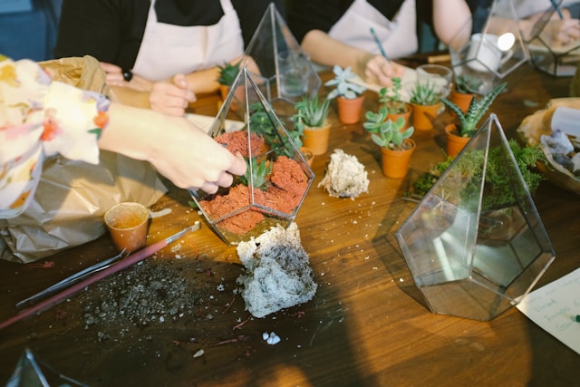 people performing Terrarium maintenance over a wooden counter