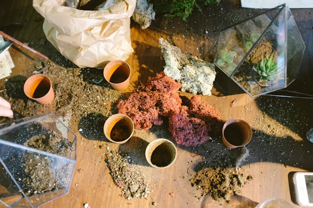 a variety of tools and maintenance itens for a terrarium in a glass-vase 