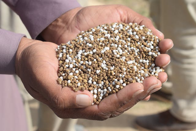 two hands together holding a small amount of earth fertilizer