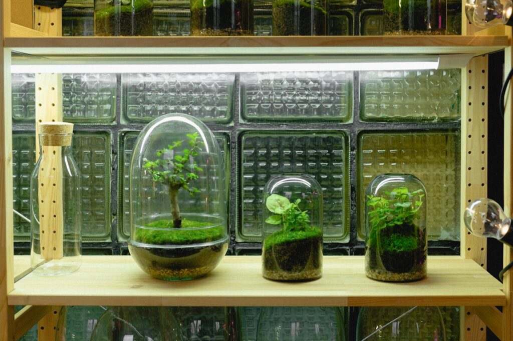 three terrariums over a wooden counter, side-by-side, with different sizes.