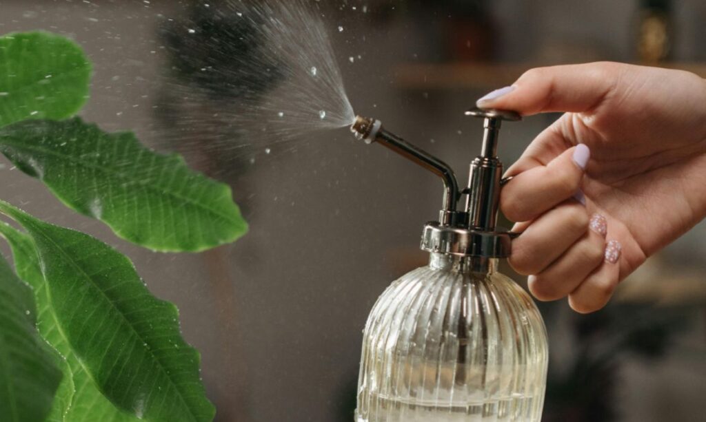 Hand holding a glass water can spraying water 