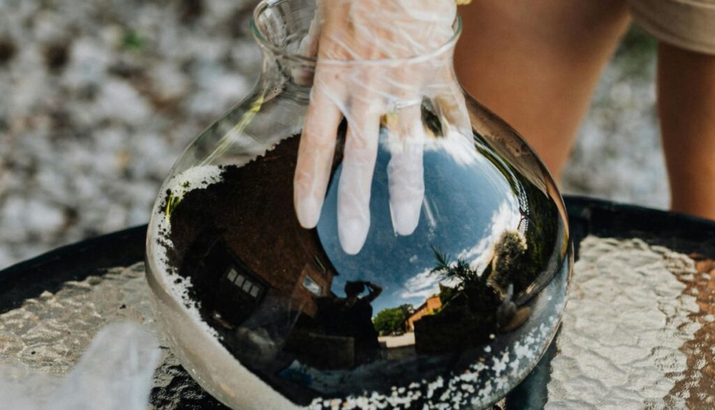 gloved hands, glass-vase terrarium over a glass table
