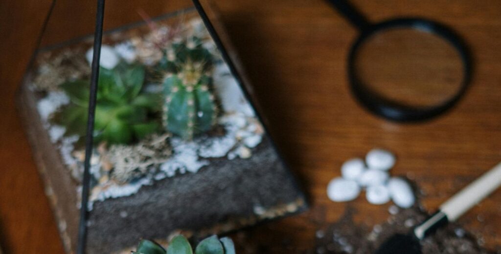a glass-vase terrarium with a lupe and gardening tools beside it