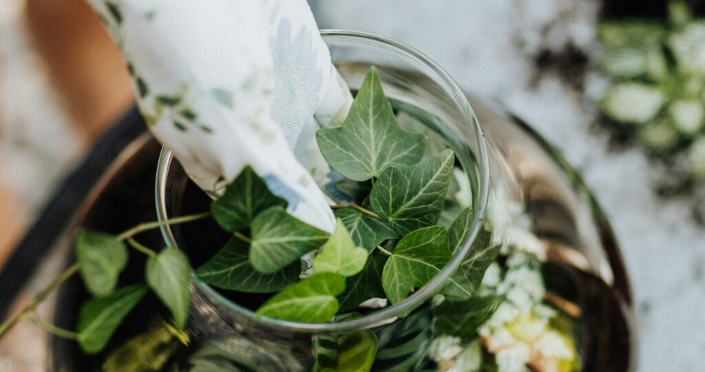 gloved hand caring for plants inside a glass-vase terrarium