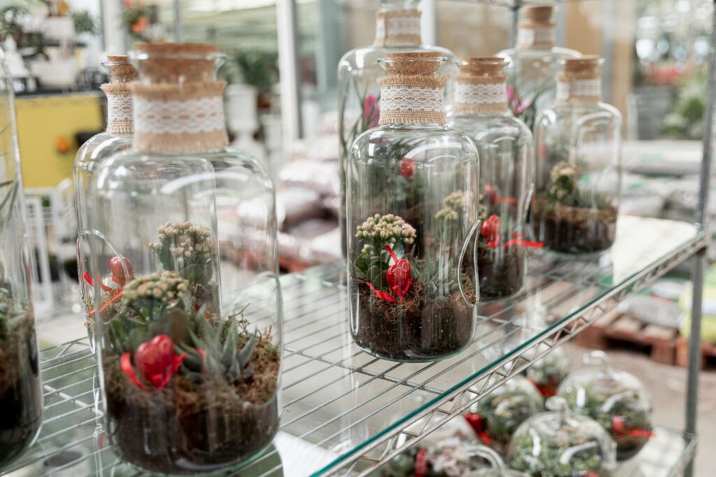 Three large glass vase terrariums over a glass counter