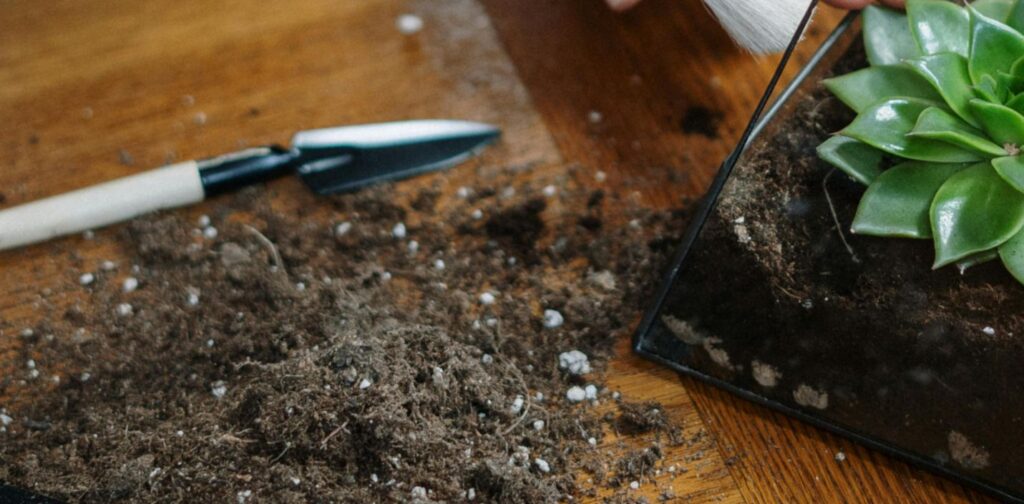 earth and a shovel, besides a glass-vase terrarium over a wooden counter.