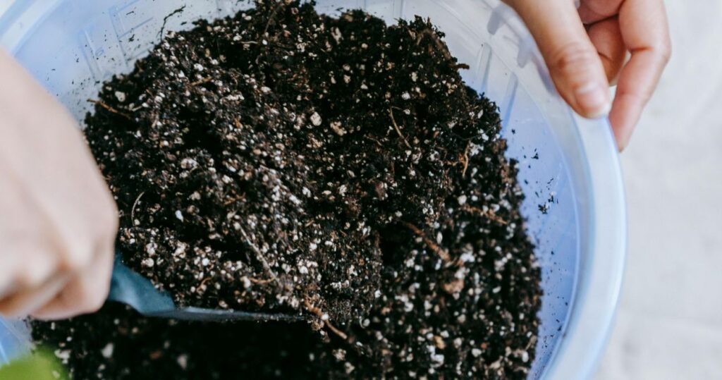 fertilizer and earth being mixed in a bowl.