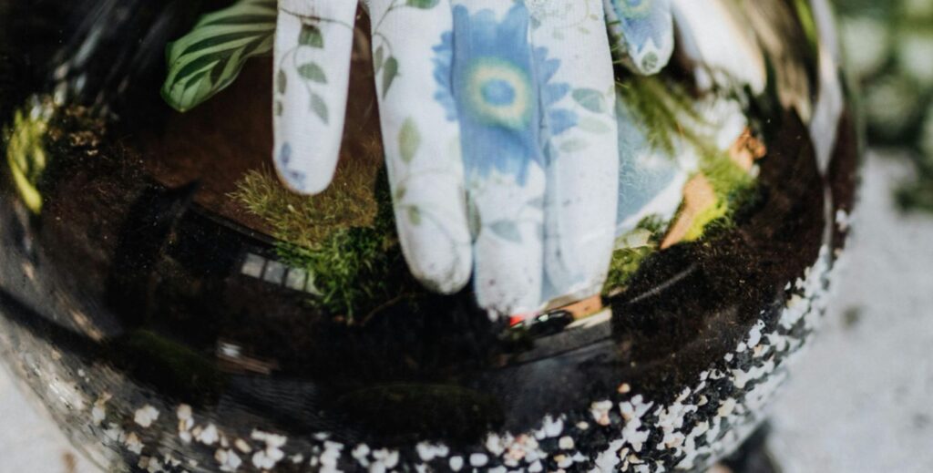 gloved hand inside a glass-vase terrarium