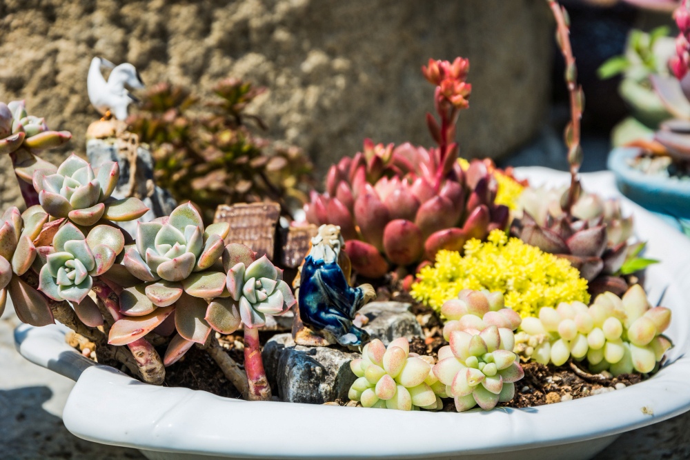 a variety of colourful terrarium decorations with small pebbles and a miniature