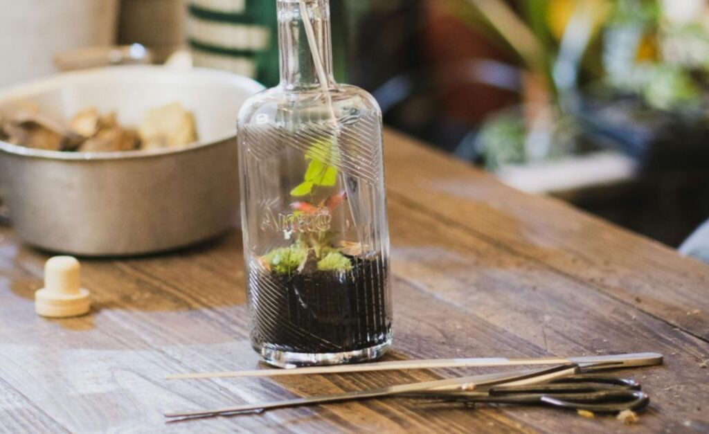 a glass-vase terrarium on a wooden table, besides trim tools.