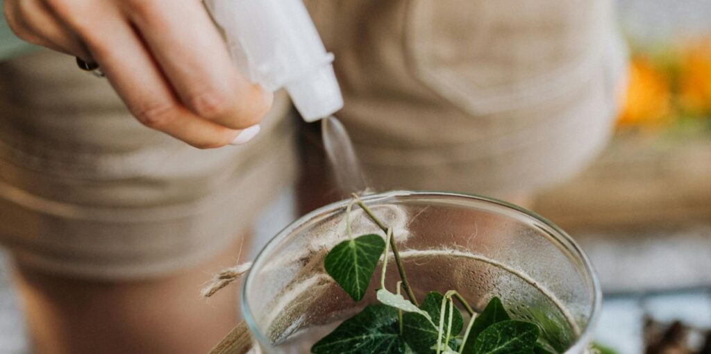 woman watering a glass-vase terrarium