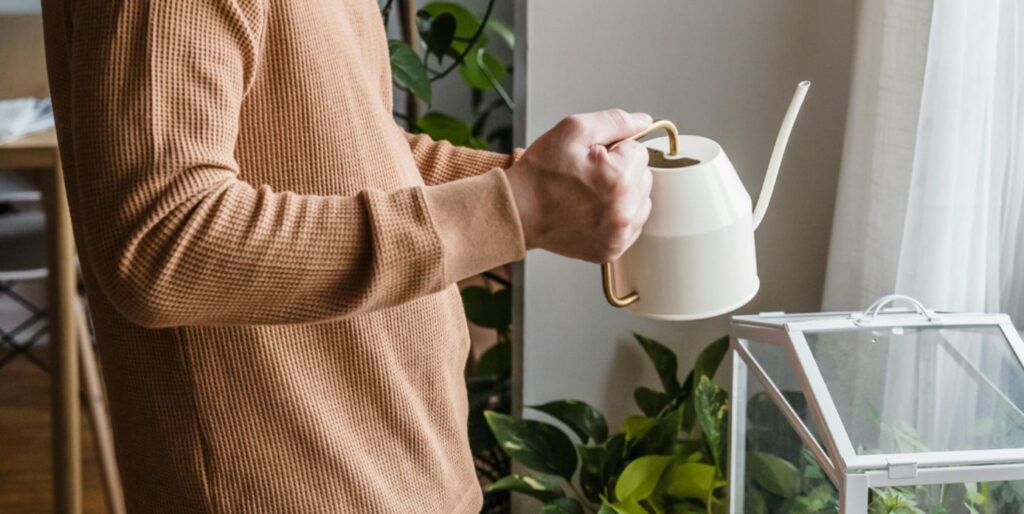 A man holding a white watering can with a glass-vase and plants in the background.